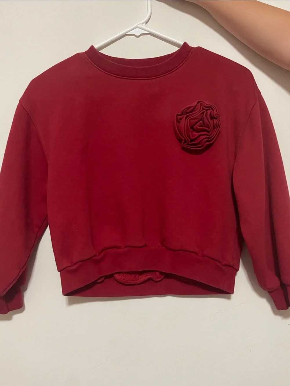 GAP Kids Red Crewneck Sweatshirt
